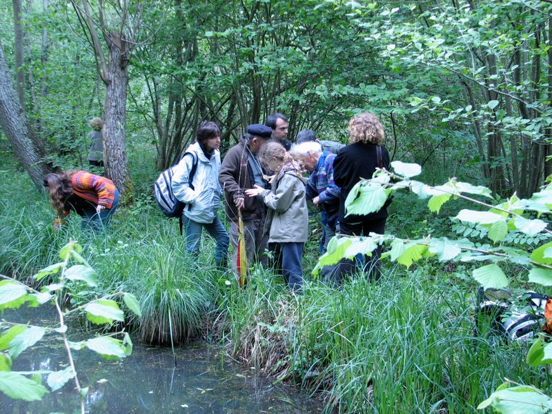 2009 Marais de la Voise 22